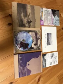 スタレビ 沖縄世界遺産ライブin沖縄中城城跡 FC限定DVD - メルカリ