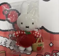 ミッフィーzakkフェスタ リンゴエプロンマスコット ミッフィーzakkaフェスタ リンゴエプロンマスコット zakka - メルカリ