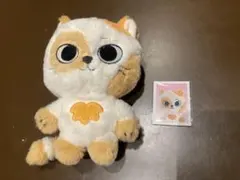 2025年最新】boynextdoor ソンホ ぬいぐるみの人気アイテム - メルカリ