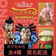 2025年最新】ワンピの実 ワノ国コレクションの人気アイテム