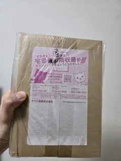 2026年最新】ヨコハマのピカチュウ 未開封の人気アイテム - メルカリ