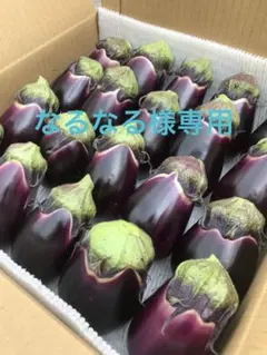 なるなる様専用　りんごあめなす