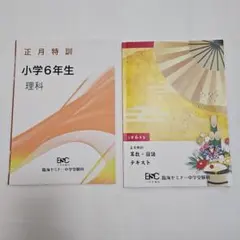 Item thumbnail for item bd28a916-048e-4ae6-9d1f-2ce90c2a1f3f