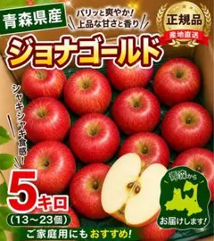 【2セット限定】青森県産 ジョナゴールド 約5kg 13〜23玉 正規品 甘いのサムネイル
