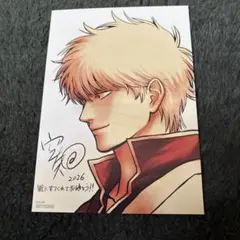 新劇場版 銀魂 吉原大炎上 特典 第4弾 イラストボード　【送料無料】