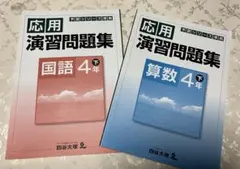 Item thumbnail for item d4eb66ad-5dd1-4cf5-a74a-f34f0859ee59