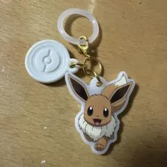 ポケモン イーブイ カラーマスコット