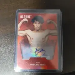 UFC 平良達郎　パンドラプリズム　カード UFC 平良達郎 パンドラプリズム カード UFC 平良達郎 パンドラプリズム