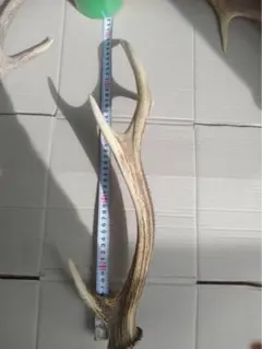 Susi様 リクエスト 2点 まとめ商品