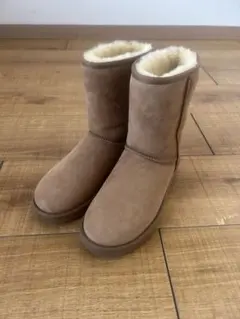 Item thumbnail for item 14104a86-62f4-4b81-871c-e5bec5088bf5