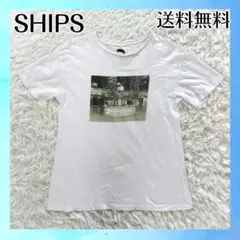 Item thumbnail for item d993a9b6-7535-4366-981a-b69f9277723e