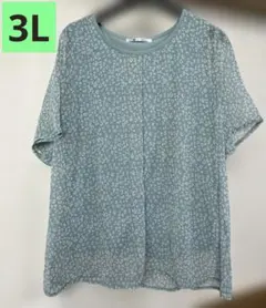 大きいサイズ 3L mint breeze シフォンカットソーのサムネイル