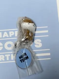 SEVENTEEN ミニティーン ガチャガチャ ディノ チャンダリ