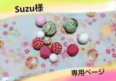 Suzu様 専用ページ　　※※オーダー内容確認中※※