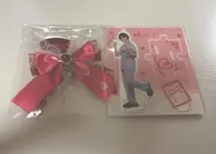 浦島坂田船　となりの坂田　あほの坂田　アクスタ　　チャーム　Nurse