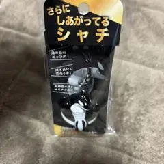 Item thumbnail for item be01d212-fa18-409b-a55b-5e96546d6b77