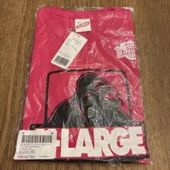 X-LARGE 秋田ノーザンハピネッツ　Tシャツ Lサイズ　新品未使用