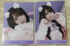 LOVE イコラブ 大谷映美里 生写真 猫衣装 セミコンプ ヨリ チュウ