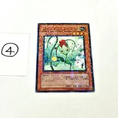ナチュル・ローズウィップ DTC2-JP011 ⑧ 遊戯王 OCG カード - メルカリ