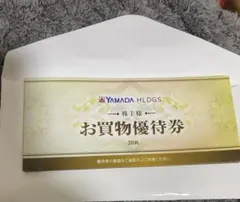 YAMADA HLDGS. お買物優待券 21枚セット　10500円分