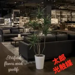 光触媒 人工観葉植物 ウォールグリーン フェイクグリーン ノリナ 