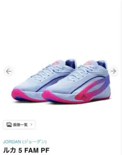 Jordan ルカ 5 FAM PF 27.5cm バスケットシューズ 美品 - メルカリ