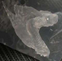 モンスターハンタースタンダートモデル　ボーナスパーツ　ベリオロスの右腕？