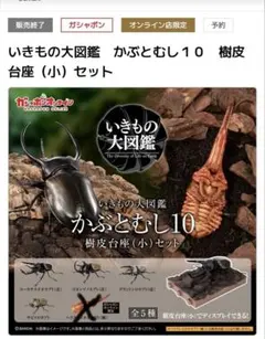 オンライン版　いきもの大図鑑　かぶとむし10 ４種セット　②