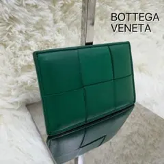 ✨️美品✨️ボッテガ カセット イントレチャート カードケース パラキート