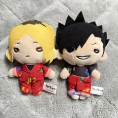 ハイキュー にとたん ペイント 黒尾鉄朗 孤爪研磨 セット ぬいぐるみ 人形