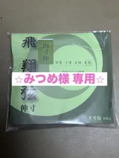 Item thumbnail for item 88ab9c6b-effa-4a8f-bba8-873f9969f28a