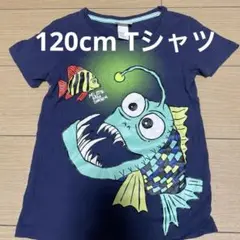 H&M 魚デザイン Tシャツ 110/116