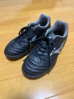 Mizuno モナルシーダ　22.0