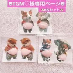 ✽TGM♡様専用✽おなかシール　6枚セット　ぷにぷに　ぷくぷく　柴犬