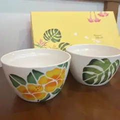 未使用品　レイ・ミイク　ハワイ　ハワイアン　食器　ボウル　ペアセット