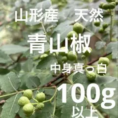 山形産‼️天然　青山椒　山椒の実　ぶどう山椒‼️山椒　野菜のサムネイル