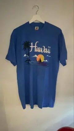 80s FRUIT OF THE ROOM Hawaii Tシャツ　USA製
