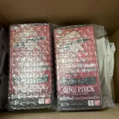 受け継がれる意志BOX テープ付き　2BOX