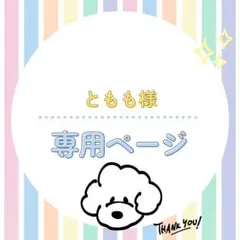 専用ページです⭐︎