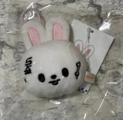 Stray Kids スキズ KARMA ポップアップ ネーム タグ リビット