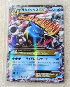 MカメックスEX RR XY1 コレクションY 015/060