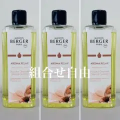 2025年最新】ランプベルジェ ランプの人気アイテム - メルカリ