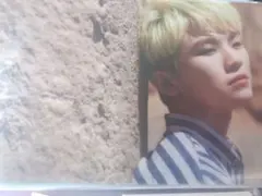 SEVENTEEN al1 ポストカード ウジ