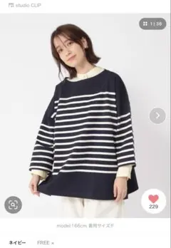 【タグ付き未使用】スタジオクリップ　コットンバスクボーダープルオーバー