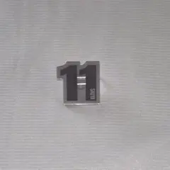 超特急 シューヤ ペンライトアクセサリー