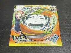 ハイキュー ファンパーク FANPARKコレクション 缶バッジ 山口忠