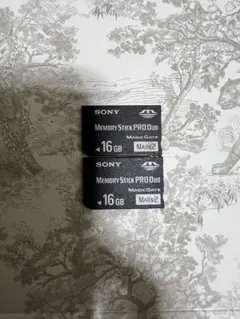 Item thumbnail for item 1d38623b-c39d-482f-834a-380b7640268b