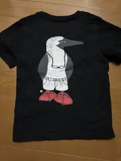 超美品CHUMS Tシャツ キッズM 100-115 ブラックブービーチャムスのサムネイル