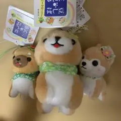 匿名　新品　豆しば　三兄弟　ぬいぐるみ　マスコット　芝犬　犬