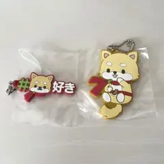 JOCHUM まめちぃ　2点セット